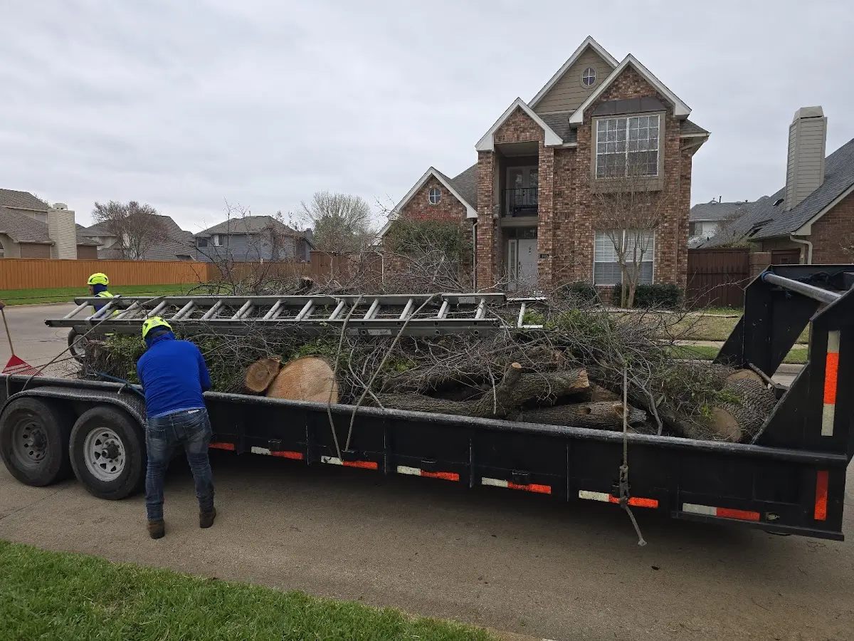 Expert Tree Fertilization with proper safety equipment in Granger